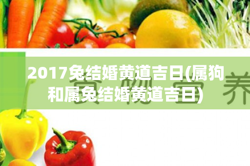 2017兔结婚黄道吉日(属狗和属兔结婚黄道吉日)