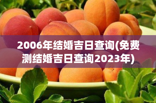 2006年结婚吉日查询(免费测结婚吉日查询2023年)