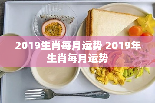 2019生肖每月运势 2019年生肖每月运势