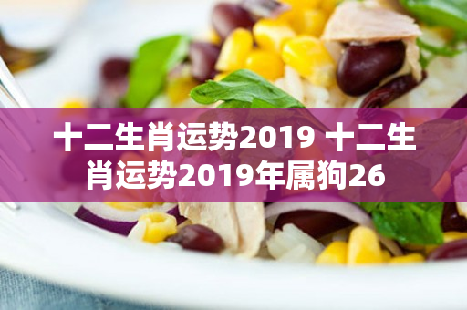 十二生肖运势2019 十二生肖运势2019年属狗26