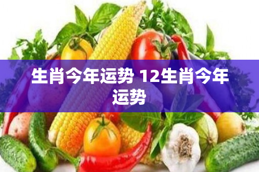 生肖今年运势 12生肖今年运势