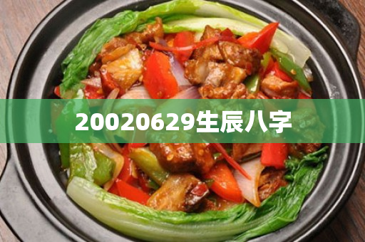 20020629生辰八字