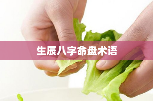 生辰八字命盘术语