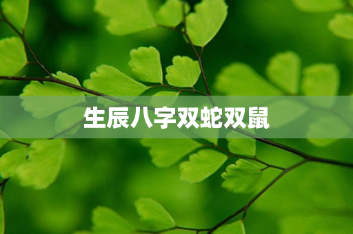 生辰八字双蛇双鼠