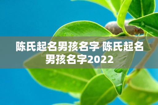 陈氏起名男孩名字 陈氏起名男孩名字2022