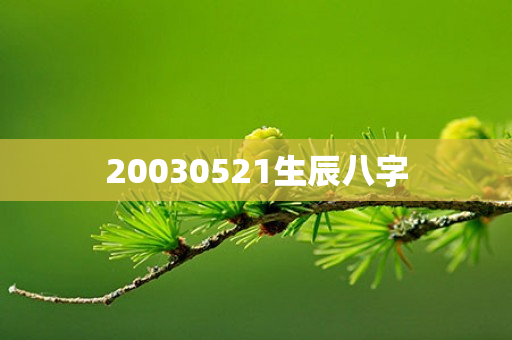 20030521生辰八字