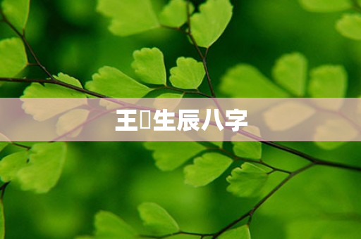 王珺生辰八字