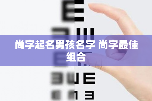 尚字起名男孩名字 尚字最佳组合