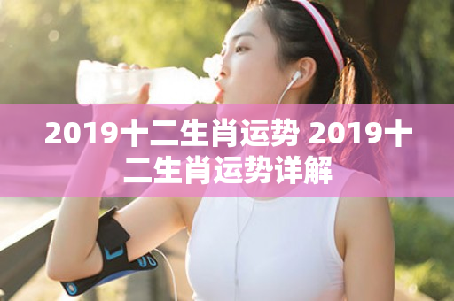 2019十二生肖运势 2019十二生肖运势详解