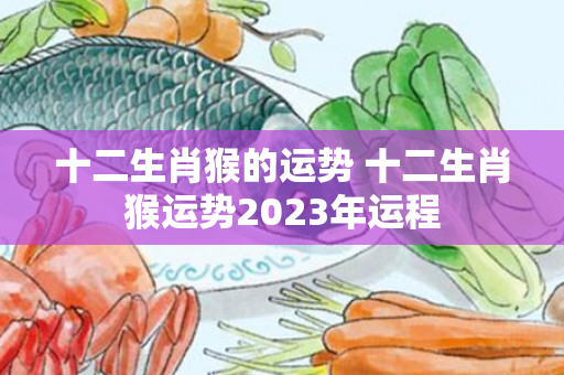 十二生肖猴的运势 十二生肖猴运势2023年运程