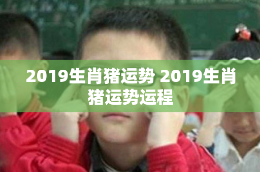 2019生肖猪运势 2019生肖猪运势运程