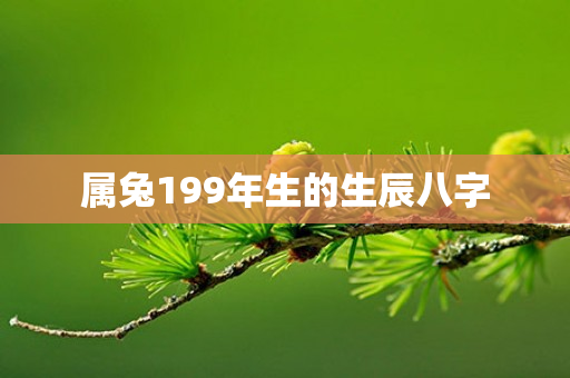 属兔199年生的生辰八字