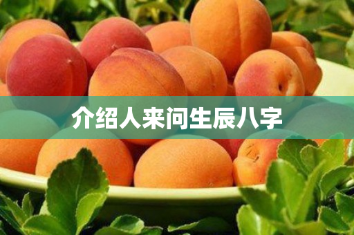 介绍人来问生辰八字