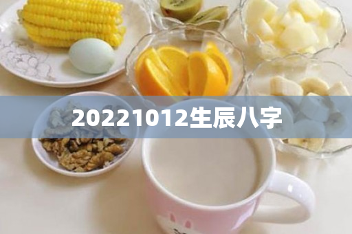 20221012生辰八字