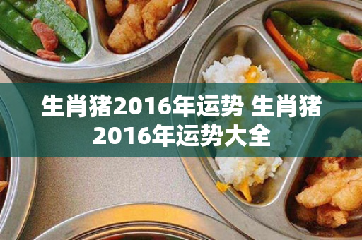 生肖猪2016年运势 生肖猪2016年运势大全