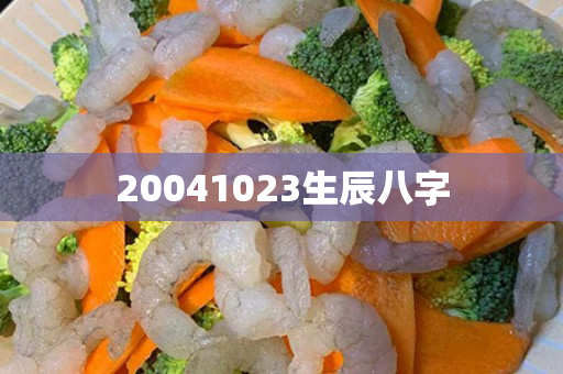 20041023生辰八字