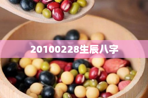 20100228生辰八字