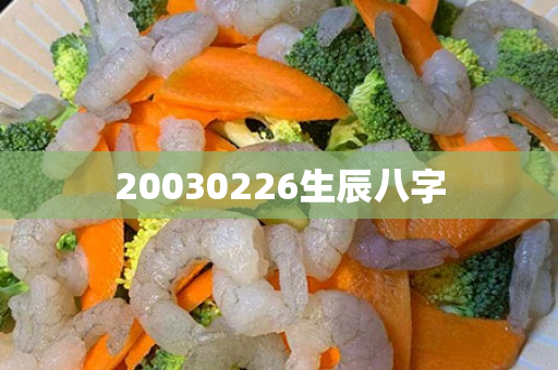 20030226生辰八字
