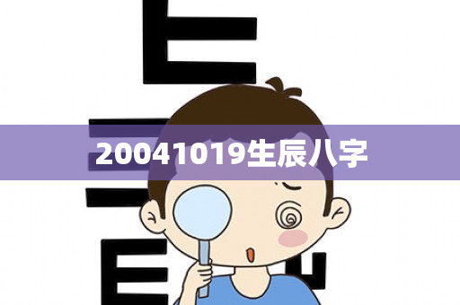 20041019生辰八字