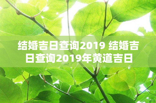 结婚吉日查询2019 结婚吉日查询2019年黄道吉日