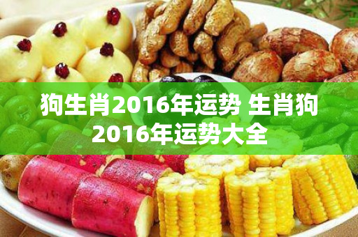 狗生肖2016年运势 生肖狗2016年运势大全