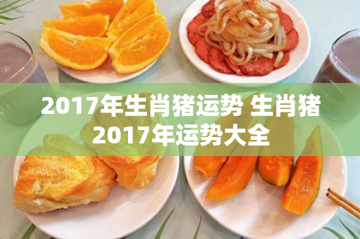 2017年生肖猪运势 生肖猪2017年运势大全