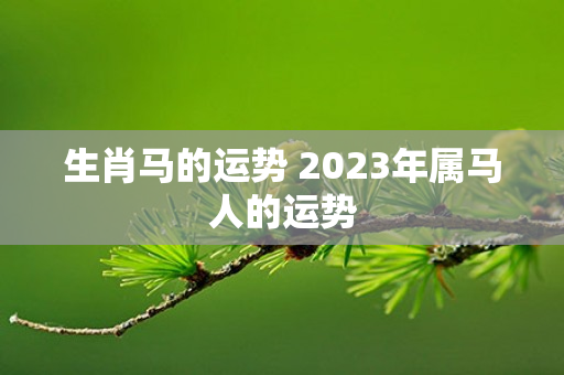 生肖马的运势 2023年属马人的运势