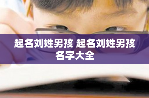 起名刘姓男孩 起名刘姓男孩名字大全