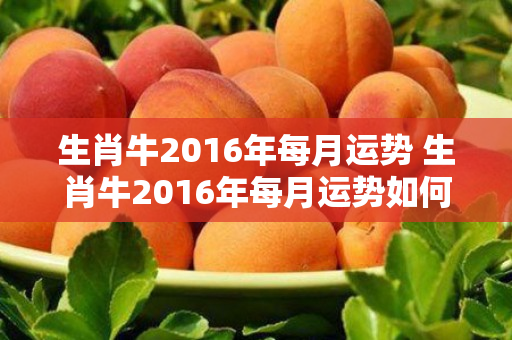 生肖牛2016年每月运势 生肖牛2016年每月运势如何