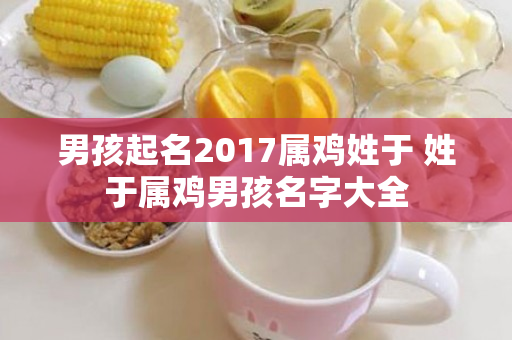 男孩起名2017属鸡姓于 姓于属鸡男孩名字大全