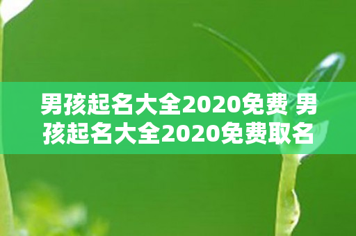 男孩起名大全2020免费 男孩起名大全2020免费取名