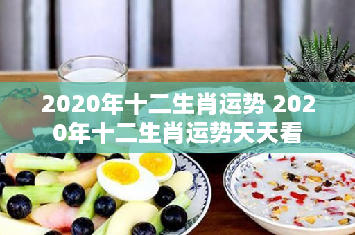 2020年十二生肖运势 2020年十二生肖运势天天看