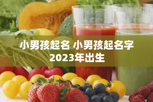 小男孩起名 小男孩起名字2023年出生