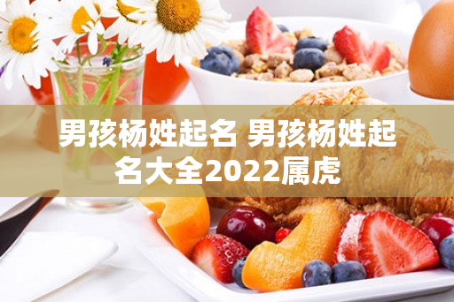 男孩杨姓起名 男孩杨姓起名大全2022属虎