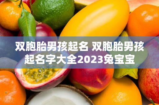 双胞胎男孩起名 双胞胎男孩起名字大全2023兔宝宝