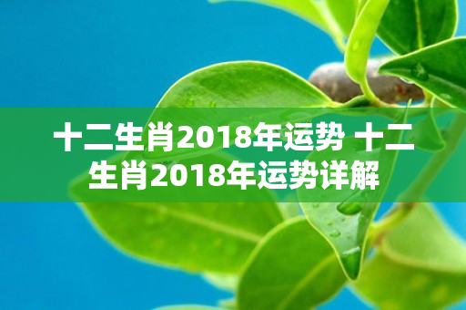 十二生肖2018年运势 十二生肖2018年运势详解