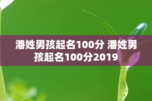 潘姓男孩起名100分 潘姓男孩起名100分2019