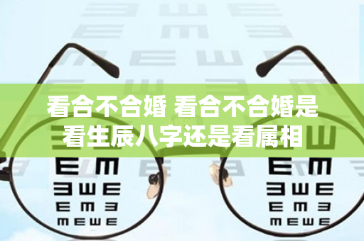 看合不合婚 看合不合婚是看生辰八字还是看属相