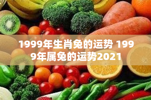 1999年生肖兔的运势 1999年属兔的运势2021