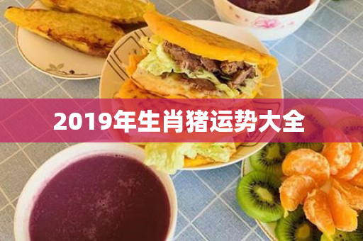 2019年生肖猪运势大全 