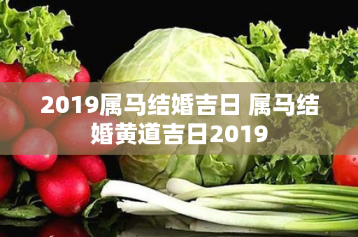 2019属马结婚吉日 属马结婚黄道吉日2019