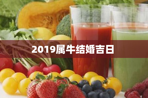 2019属牛结婚吉日 