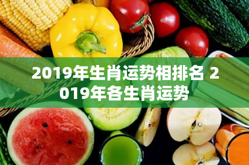 2019年生肖运势相排名 2019年各生肖运势