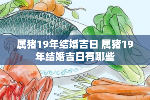 属猪19年结婚吉日 属猪19年结婚吉日有哪些