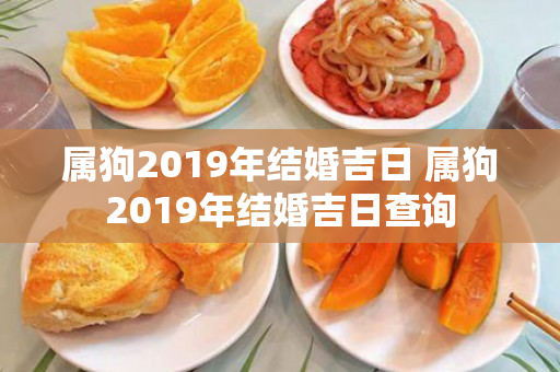 属狗2019年结婚吉日 属狗2019年结婚吉日查询