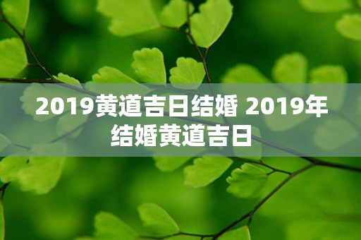 2019黄道吉日结婚 2019年结婚黄道吉日