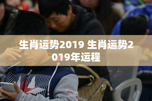 生肖运势2019 生肖运势2019年运程