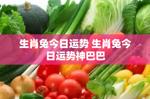生肖兔今日运势 生肖兔今日运势神巴巴