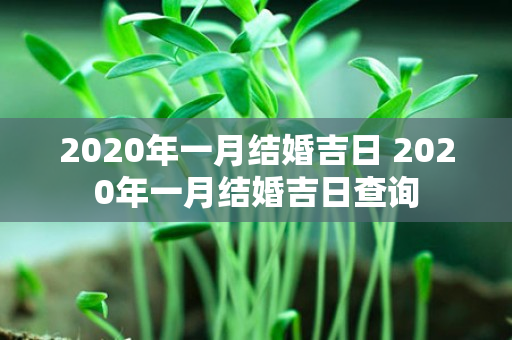 2020年一月结婚吉日 2020年一月结婚吉日查询