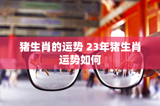 猪生肖的运势 23年猪生肖运势如何